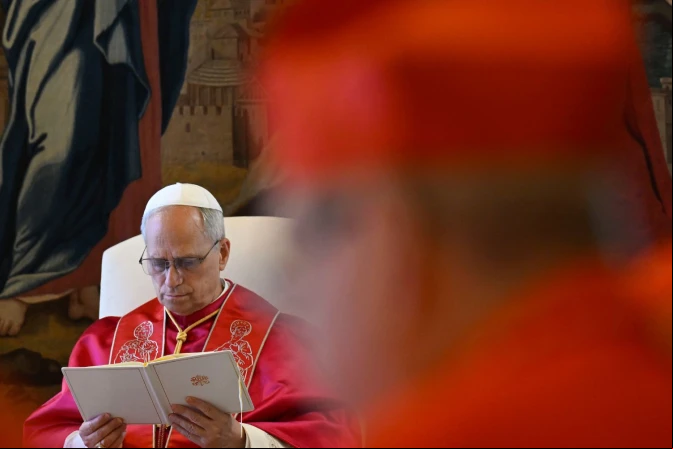 El Papa, en el consistorio público que ha presidido esta mañana
