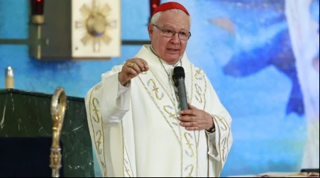 México: Papa Francisco les pide esperar a Cardenal que presentó su renuncia